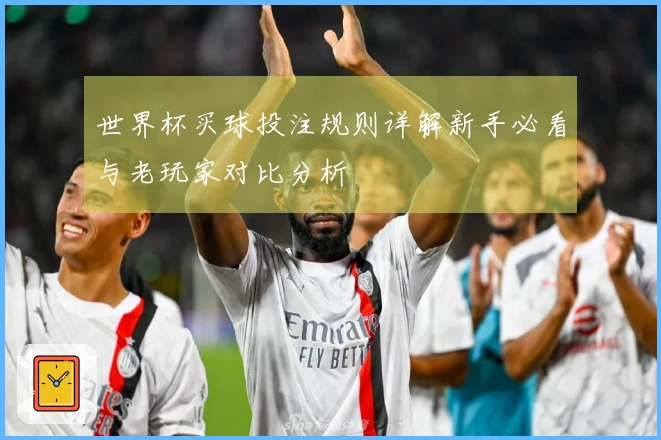 世界杯买球投注规则详解新手必看与老玩家对比分析