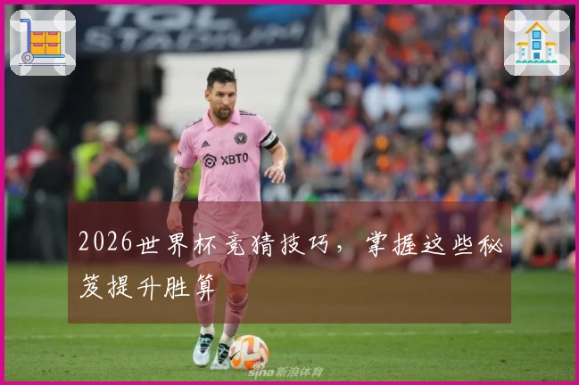 2026世界杯竞猜技巧，掌握这些秘笈提升胜算