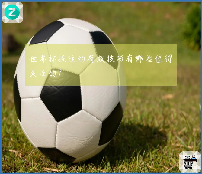世界杯投注的有效技巧有哪些值得关注的？