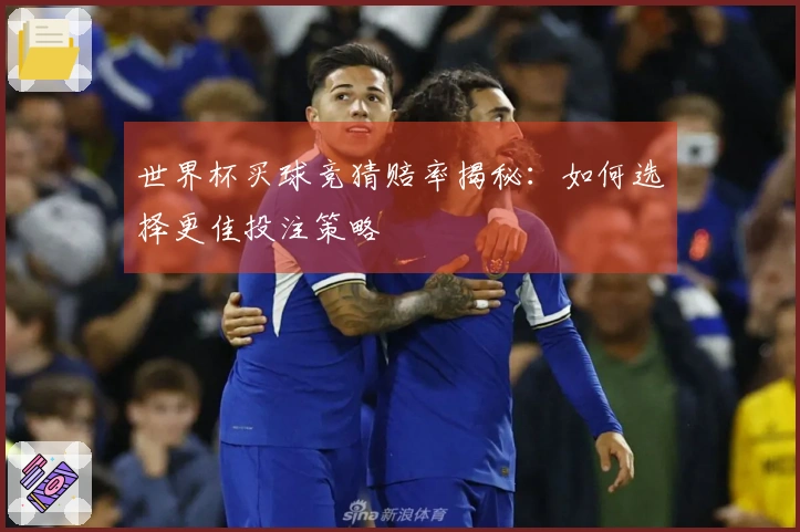 世界杯买球竞猜赔率揭秘：如何选择更佳投注策略