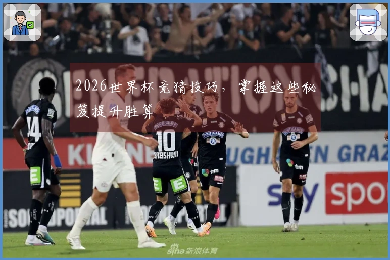 2026世界杯竞猜技巧，掌握这些秘笈提升胜算