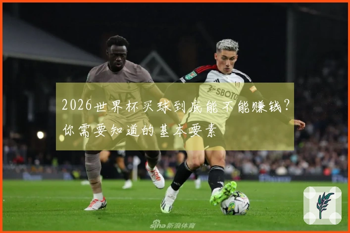 2026世界杯买球到底能不能赚钱？你需要知道的基本要素