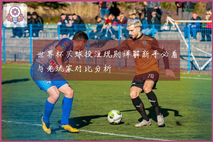 世界杯买球投注规则详解新手必看与老玩家对比分析
