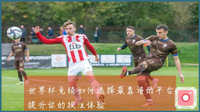 世界杯竞猜如何选择最靠谱的平台提升你的投注体验