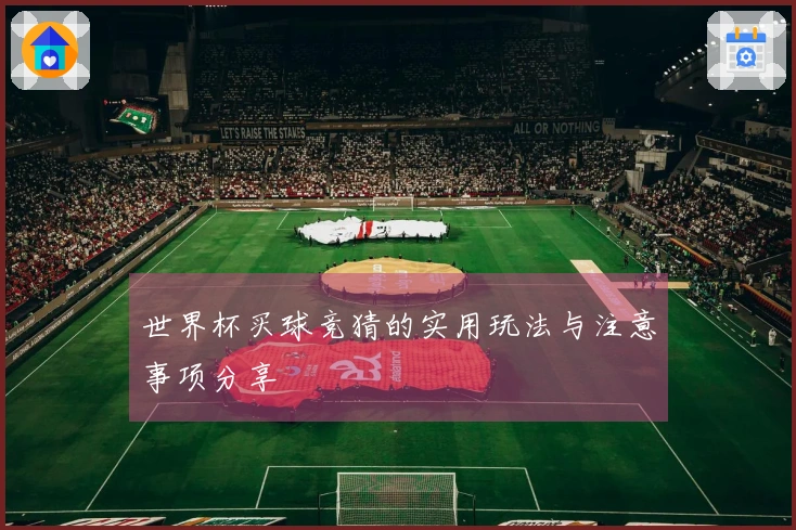 世界杯买球竞猜的实用玩法与注意事项分享